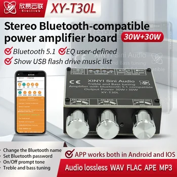 Bluetooth 5.1 Ekolayzır Dijital güç amplifikatörü Kurulu D Sınıfı HIFI DIY Amplificador Modülü APP AUX USB 2 * 30W Stereo Ses
