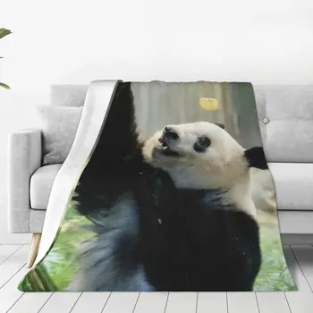 Japon Xiangxiang Panda Battaniye Kış Sıcaklık Dekoratif Yatak Atmak Battaniye Yatak Ev Dekor için